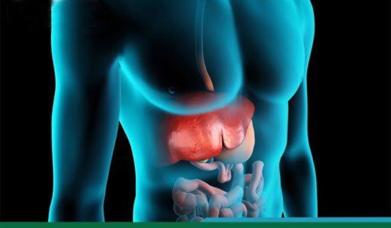 Cách hỗ trợ gan thải độc hiệu quả