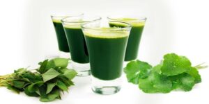 các loại đồ uống mát gan