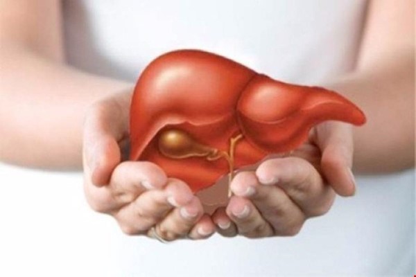 Tại sao cần giải độc gan?